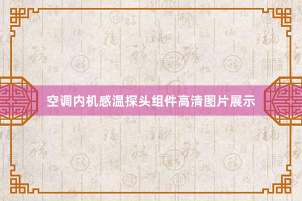 空调内机感温探头组件高清图片展示